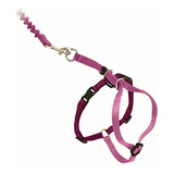Petsafe Come With Me Kitty Harness And Bungee Leash, Dusty