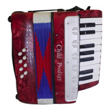 Gaita Acordeon Sanfona Juvenil 8 Baixos Brinquedo Crianças