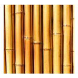 Paq 20 Varas Otate Bambú 1.5 Mts  Alto Artesanal