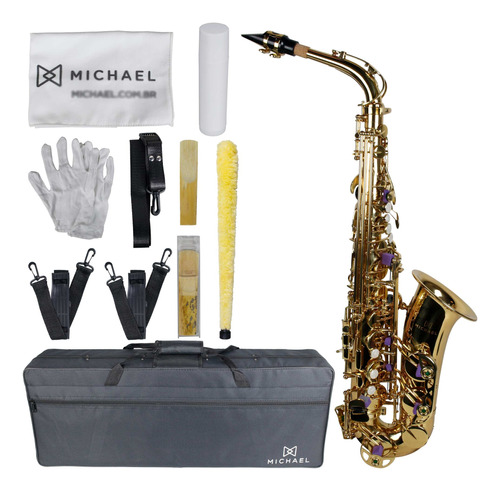 Saxofone Sax Alto Eb Mi Bemol Michael Laqueado C/ Case