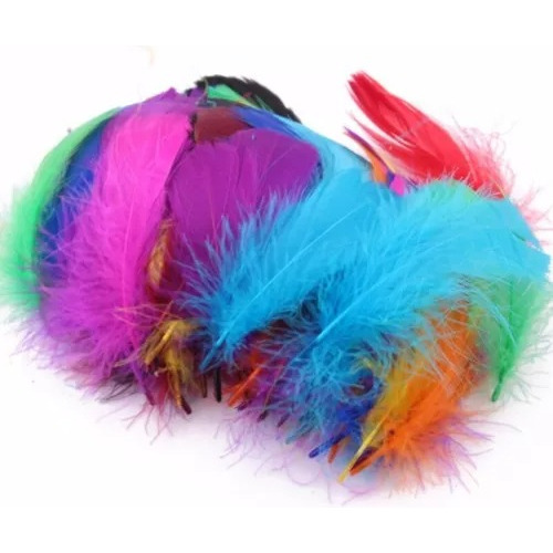 Plumas De Colores Surtidas / 200 Unidades