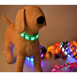 Collar Luminoso Led Luz Ajustable Perro Mascota Disponible 
