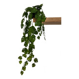 Monstera Colgante C/ Maceta-plantas Decorativas Artificiales