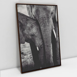 Quadro Em Canvas Família Elefante Moldura Madeira 120x80cm