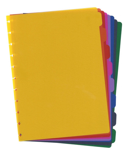 Divisoria Grande Pvc Caderno Inteligente 8 Divisões