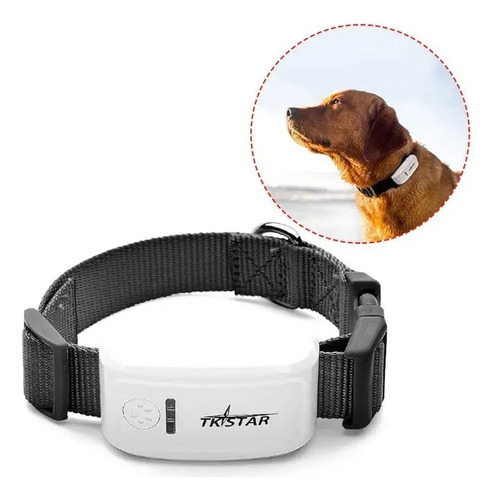 Rastreador Gps Satelital Mascotas Collar Perros Gatos