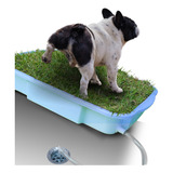 Sanitario Canino Xixi Pet Banheiro Para Cães - Pequenospets
