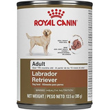 Pan De Labrador Retriever De Royal Canin Breed Health