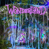Letrero Neon Wonderland País De Las Maravillas C/ Atenuador Color Morado