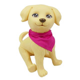 Barbie Cachorro Pet Veterinária Menina - Pupee Brinquedos