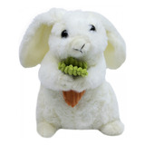 Coelho Branco Cenoura Pelúcia Fofy Toys Dd-d6019t1 20cm