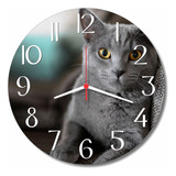 Relógio Parede Gato Cinza Pet Animal Decora Estimação 30cm