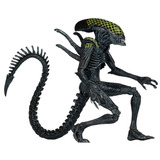 Grid Alien Do Alien Vs Predador Neca  Avp 20 Cm Alienigena