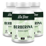 Berberin Autêntic 180 Cápsulas 500mg Suplemento Natural