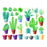 Cactus Suculento Verde Plantas Estética Diario De Viaj...