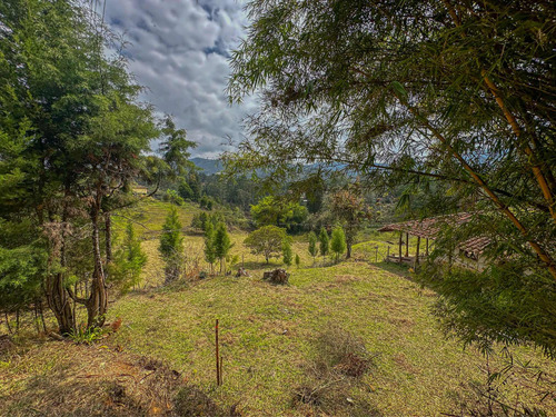 Lotes En Guarne Antioquia Gran Oportunidad De Invertir - Imagen 4