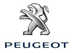 Amortiguador Delantero Peugeot 307 Sw Foto 3