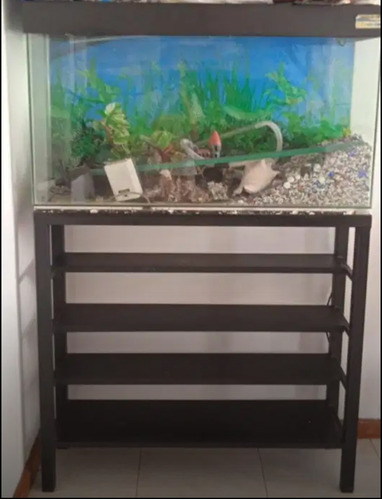 Acuario/ Pecera Con Tapa En Perfecto Estado Con Accesorio,  