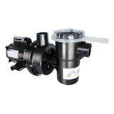 Bomba Centrífuga Para Piscina Nautilus Nbfc-5 1.5cv 110v/220v Monofásica 22.2m³/h