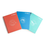 Pack 5 Cuadernos Eco Color Rhein Carta 150 Hojas Tapa Dura