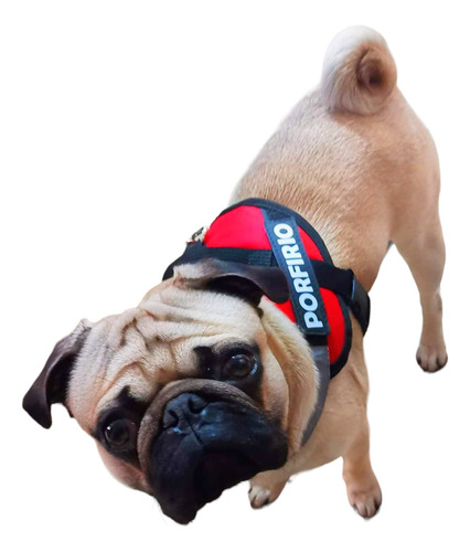 Pechera Personalizada Pug