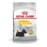 Royal Canin Perro Mini Dermacomfort X 3 Kg Pet Shop Cuenca