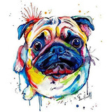 Kit Pintura 5d Diamante Perro Mascota Engel Pug (40 X 40 Cm)