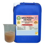 20l De Jabon Potasico C/neem Bioinsecticida Organico 