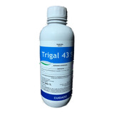 Tebuconazole 43 % Trigal 43% X 1 Lt Fung.