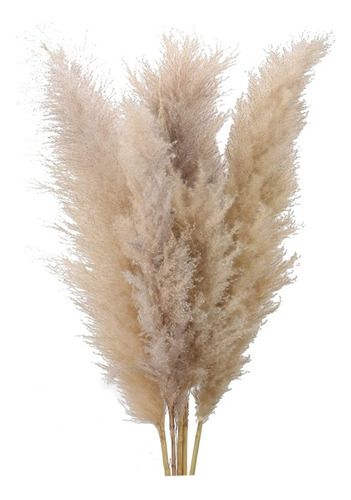 Pampas Secas | 120 Cm | Naturales | Fluffy | 10 Pz 