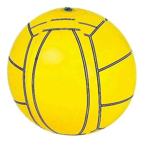 Pelota Playera Deporte Inflable Pileta Verano Calor 66018