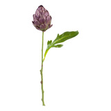 Vara Plotea Flor Artificial Morada 47cm Calidad Premium.