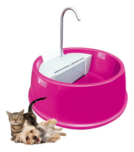 Bebedouro Para Cães E Gatos Interativo Automático Envio Hj