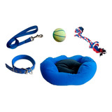 Kit Jueguetes Para Perros - Mascotas