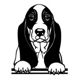 Perrito Basset Hound  Para Auto, Calcas Tuning Mascotas