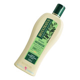 Shampoo Antiqueda Jaborandi, Alecrim 500ml Bio-extratus