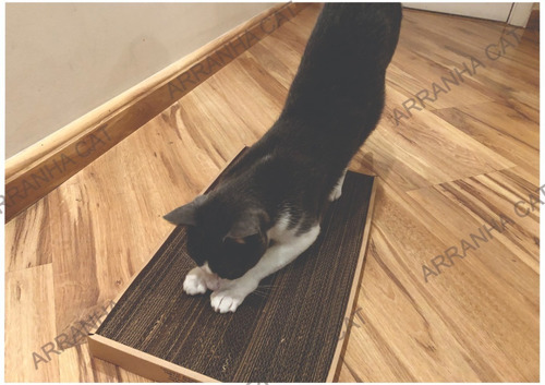 Arranhador Para Gato + Brinde Ping Cat (envio Imediato)
