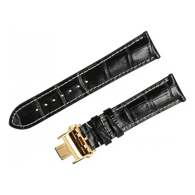 Compatible Correa Para Longiness Masters Collection 21
