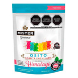 Gomita Enchilada Mister Gourmet Osito Con Sal Rosa Del Himalaya 250g