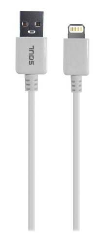 Cable Cargador Rapido Para iPhone 5 6 7 8 X 11 Se Largo 2mts