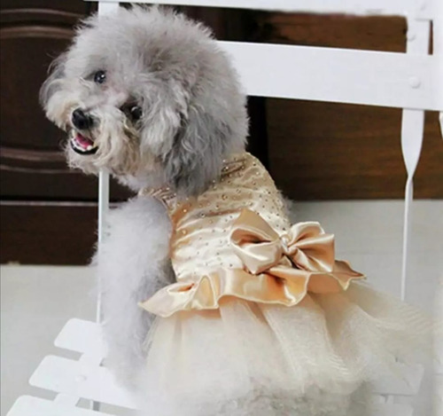 Vestido Mascota Perro Gato Fiesta Elegante Dorado 