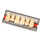 Dentes Para Próteses Biotone Tamanho 266 Cor 66 Dentsply