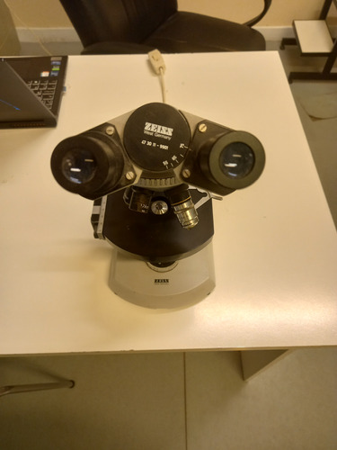 Microscopio Binocular Carl Zeiss