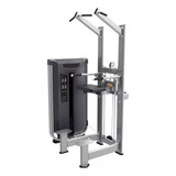 Chin/dip Assist Fitness Dip Station, Equipo Profesional Gym