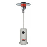 Calefactor Exterior Hongo Cabezal Acero Inox P/ Gas Garrafa