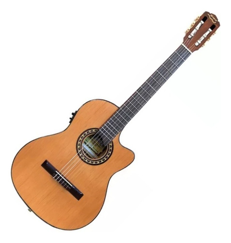 Guitarra Clásica/ Criolla Gracia Wilde Jr C/ Fishman Oferta!