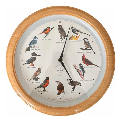 Reloj De Pared Aves