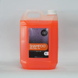 Drop Detailing Shampoo Ph Neutro Black Label 5 Lts C/ Cera