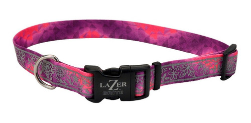 Collar Coastal Lazer Brite Para Perros Reflectante Talla S/m