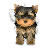 Pegatinas 3d Yorkie - 2 Pack